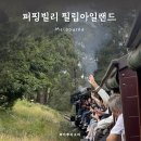 도도야생돈까스 | 행복가득 시드니 멜버른 Day 7 ㅣ퍼핑빌리 필립아일랜드 투어 후기 ㅣ나 토마스 기차 탔다!!!