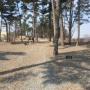 태안별빛오토캠핑장 이미지