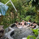 힐 스프링 이미지