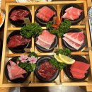 회는못참치