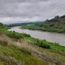 반구정습지 이미지