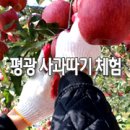 평광농장 이미지