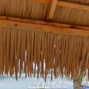 케이디펜션 이미지