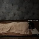 상인역 | 상인동 타이마사지 추천 잘하는곳 더타이 상인점 솔직후기 (상인역 건전마사지 가성비)