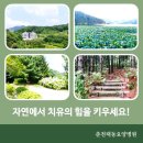 영광군공립요양병원 | 2025년 10월: 요양병원 베스트 3선