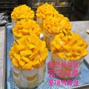 [대전 빵지순례] 성심당 대전롯데백화점 | 망고시루 | 성공 후기