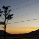 정시원콩나물국밥 이미지