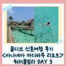maldives(몰디브) | 몰디브 신혼여행 <아나네아 마디바루 리조트> 후기 ｜아나네아 리조트 워터풀빌라,선셋크루즈 ananea...