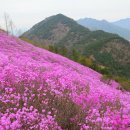 천주산 만남의 광장 이미지