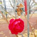 오가어린이집 이미지