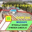 매물번호:1000-351인지면 차리 계획관리지역 전원주택용지 991㎡(300평)매매가 3.3㎡25만원 이미지