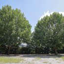 충주 반딧불 오토 캠핑장 이미지