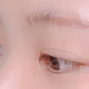 꼬숑 살롱
