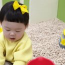 사임당로 115 (3) 이미지