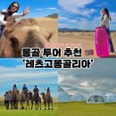 몽골 투어 추천 레츠고몽골리아 4박 5일 중부투어+테를지 몽골 여행 후기