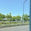 춘천 당일치기 여행] 첨첨/자유빵집2호점/피버하우스/명가호반닭갈비/홈플러스/약사천수변공원/아트박스