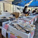 김윤태농장 이미지