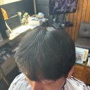 멍뭉미 | 부드러운 이미지의 완성, '쉐도우 펌'으로 볼륨과 스타일링 고민 해결! '찰리네'에서 인생 머리 찾은 후기