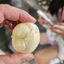 소와풀 가축 인공수정소 | 발리 파드마 리조트 우붓 가든 투어 후기! 농장 체험부터 가축 먹이주기까지 온 가족 힐링 액티비티