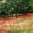 화원관광지 이미지