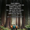 2024년 11월16일(토) 대전 계족산성 여행 이미지