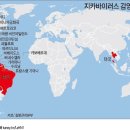 그래픽바이러스
