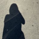 씨유 가산벚꽃로점 | 5월은 잘~ 가고, 6월은 다같이 행복하자