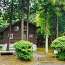 국립남해편백자연휴양림 이미지