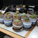 상동면행정복지센터 이미지