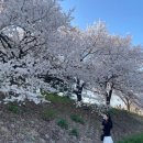 조천 산책로화장실 이미지