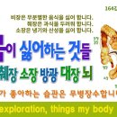 내 몸이 싫어하는 것들 - 6부와 삼초 이야기 이미지