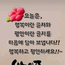 장례문화가 이미지