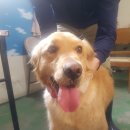 서부북로 이미지