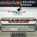 미래태권도센타 이미지