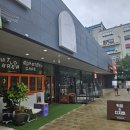마일드브루