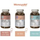 심바앤레오