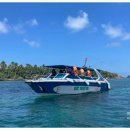 카스피드 이미지