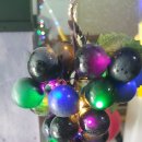 라비코리아 이미지