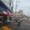 포항 죽도시장 대게 맛집 한신수산 박달대게 후기