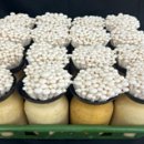 백마농장 이미지