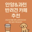 세븐일레븐 안양힐링점 | 안양&amp;과천 반려견 카페 추천 Best 4, 실내OK, 운동장 있음!