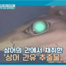 세모스쿠알렌