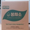 (주)바이오헬릭스 | [지후맘/(주)이정파트너스]아쿠아포닉스 친환경 무농약 유러피안 봉채소