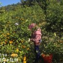 지승농장 이미지