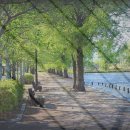 새마을낚시터 이미지