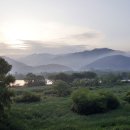 기차마을 장미공원 이미지