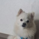 봉구