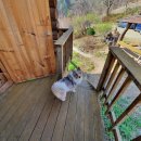 향초목원 이미지