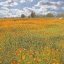 대전천북로 이미지