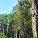 수지어린이집 이미지